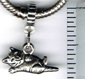 Kitten European Charm