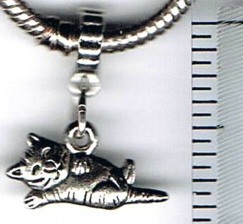 Kitten European Charm