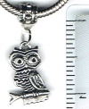 Owl On Branch European Charm